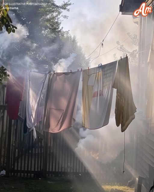 My Neighbor Started a Barbecue Every Time I Hung Laundry Outside Just to Ruin It Rita Kumar By Rita Kumar May 02, 2025 09:07 A.M. Share