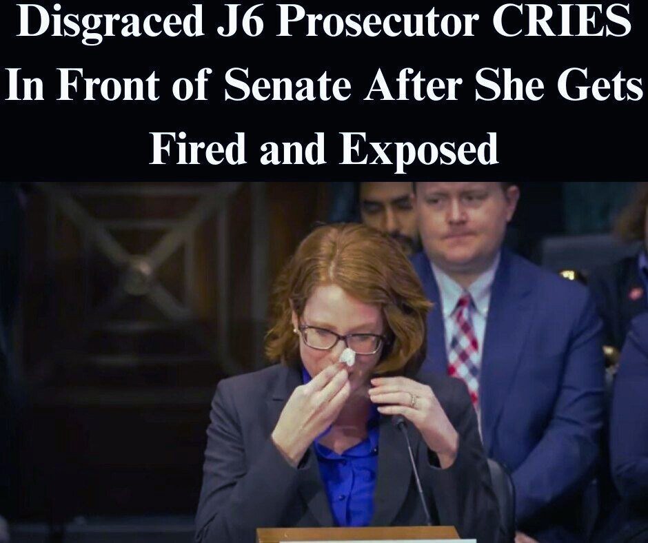 J6 Prosecutors Brag To Congress About Locking Up Americans For Misdemeanors