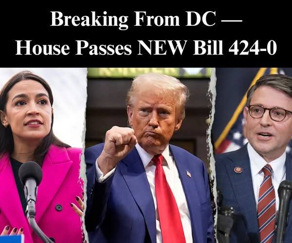 House Passes Bill To Scrutinize Taliban Funding